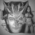 :icongoranvisnjic-82: