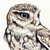 :icongordons-llama: