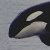 :icongordorcaplz: