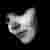 :icongorgeousgeek: