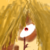:icongorgonater12: