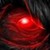 :icongorgonzol:
