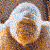 :icongorillahmachine: