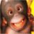 :icongorillajeff:
