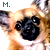 :icongorillazareinsane: