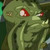 :icongorrathwhutplz: