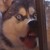 :icongoryjunecat: