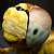 :icongoshinsky:
