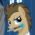 :icongosteer: