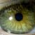 :icongot-died: