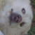 :iconGotenSSj: