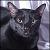 :icongothcatgerald: