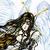 gothic-angel-farore :icongothic-angel-farore: