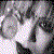 :icongothic-rock-faerie: