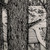 :icongothic0921: