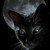 :icongothicangel24: