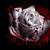 :icongothicroseblood: