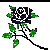 :icongothicroseincarnate: