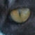 :icongothicsword: