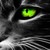 :icongothnemanja: