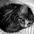 :icongothy-killer: