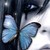 :icongothycfliq954: