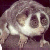 :icongoto1: