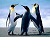 :icongottadance: