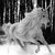 :icongotye-always-the-end: