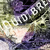 :icongovernorknoc: