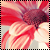 :icongpx-misa: