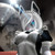 :icongr3ywolf: