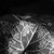 :icongrabbagphoto: