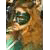 :icongrabstein: