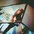:icongrace-lind: