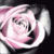 :icongraceful-assassin11: