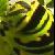 :icongracegiveshigh5s: