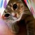 :icongracetriestodraw: