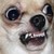 Graci3 :icongraci3: