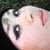 Gracie3000 :icongracie3000:
