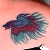 gracieandeve :icongracieandeve: