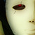 :icongradienthype: