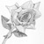 :icongraeflame: