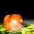 :icongrafaga: