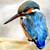 :icongraffiti-pencil: