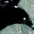 graffitibird :icongraffitibird: