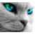 grafitax :icongrafitax: