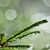 :icongrafithz: