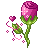 :icongraindementhe: