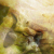 :icongraindolium: